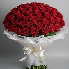 Букет 101 Красная роза Блэк Мэджик в Ульяновке Ставропольского края