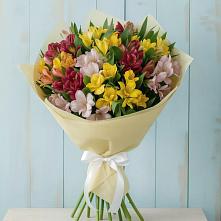 Букет цветов из:  Альстромерии #REPLACE_PRED# Ульяновке Ставропольского края
