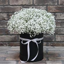 Цветочная композиция из Гипсофила в шляпной коробке #REPLACE_PRED# Ульяновке Ставропольского края