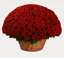 Премиум букет из: Розы в Ульяновке Ставропольского края